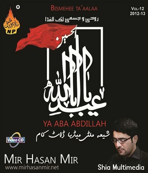 Mir Hassan Mir 2013 - www.ShiaMultimedia.com